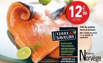 Promoties Filet de saumon terre et saveurs - Huismerk - Géant Casino - Geldig van 11/09/2018 tot 23/09/2018 bij Géant Casino