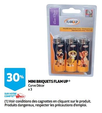 Promotions Mini briquets flam up - Flam Up - Valide de 12/09/2018 à 25/09/2019 chez Auchan Ronq