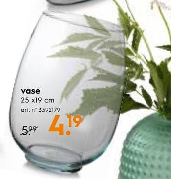 Promotions Vase - Produit maison - Blokker - Valide de 12/09/2018 à 25/09/2018 chez Blokker