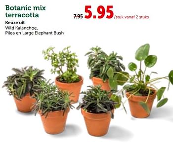 Promoties Botanic mix terracotta - Huismerk - Aveve - Geldig van 26/09/2018 tot 06/10/2018 bij Aveve