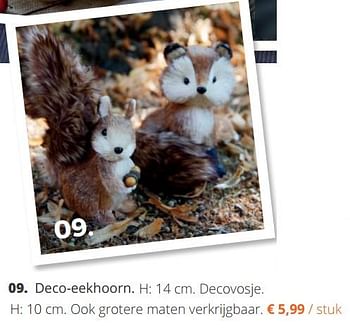 Promoties Deco-eekhoorn - Huismerk - Ava - Geldig van 18/09/2018 tot 04/11/2018 bij Ava