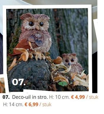 Promoties Deco-uil in stro - Huismerk - Ava - Geldig van 18/09/2018 tot 04/11/2018 bij Ava