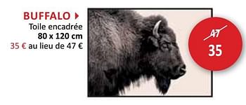 Promoties Buffalo toile encadrée - Huismerk - Weba - Geldig van 19/09/2018 tot 18/10/2018 bij Weba