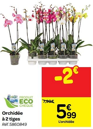 Promotions Orchidée à 2 tiges - Produit maison - Carrefour  - Valide de 26/09/2018 à 08/10/2018 chez Carrefour