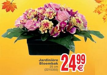 Promoties Jardinière bloembak - Huismerk - Cora - Geldig van 09/10/2018 tot 22/10/2018 bij Cora