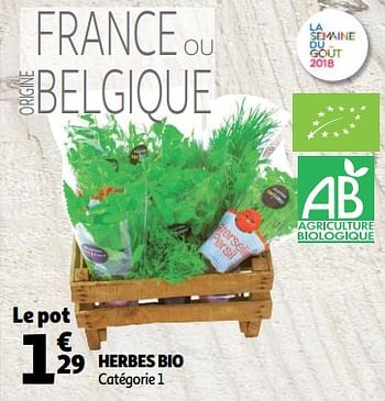 Promotions Herbes bio - Produit Maison - Auchan Ronq - Valide de 10/10/2018 à 16/10/2018 chez Auchan Ronq