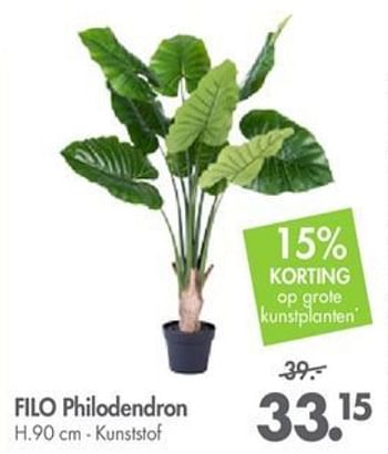 Promoties Filo philodendron - Huismerk - Casa - Geldig van 01/10/2018 tot 28/10/2018 bij Casa