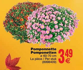 Promotions Pomponnette pomponetten - Produit maison - Cora - Valide de 16/10/2018 à 29/10/2018 chez Cora