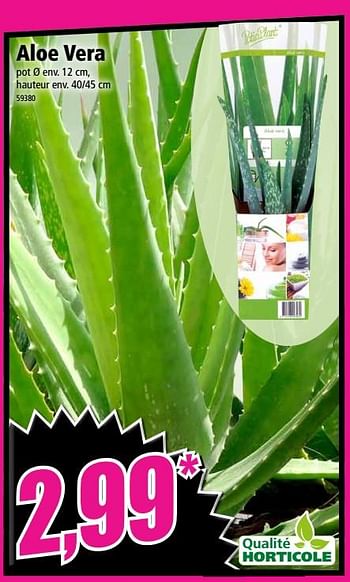 Promotions Aloe vera - Produit Maison - Norma - Valide de 17/10/2018 à 23/10/2018 chez Norma