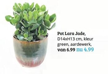 Promoties Pot lara jade - Huismerk - Tuinland - Geldig van 15/10/2018 tot 28/10/2018 bij Tuinland