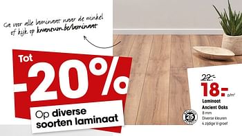 Promoties Tot -20% op diverse soorten laminaat - Huismerk - Kwantum - Geldig van 22/10/2018 tot 28/10/2018 bij Kwantum