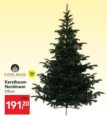 Promoties Kerstboom nordmann - Everlands - Geldig van 24/10/2018 tot 06/11/2018 bij Makro