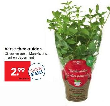 Promoties Verse theekruiden - Huismerk - Makro - Geldig van 24/10/2018 tot 06/11/2018 bij Makro