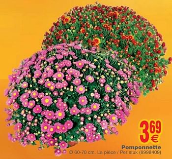 Promoties Pomponnette - Huismerk - Cora - Geldig van 23/10/2018 tot 05/11/2018 bij Cora