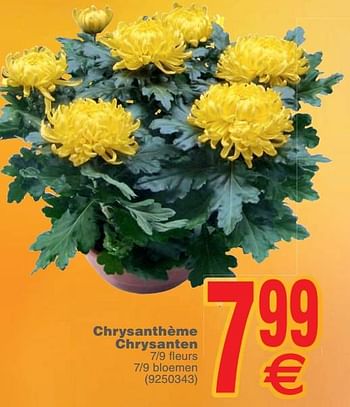 Promoties Chrysanthème chrysanten - Huismerk - Cora - Geldig van 23/10/2018 tot 05/11/2018 bij Cora