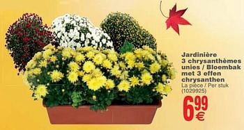 Promoties Jardinière 3 chrysanthèmes unies - bloembak met 3 effen chrysanthen - Huismerk - Cora - Geldig van 23/10/2018 tot 05/11/2018 bij Cora