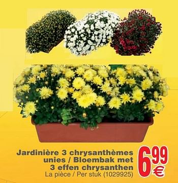 Promotions Jardinière 3 chrysanthèmes unies - bloembak met 3 effen chrysanthen - Produit maison - Cora - Valide de 23/10/2018 à 29/10/2018 chez Cora
