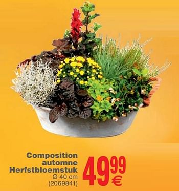 Promoties Composition automne herfstbloemstuk - Huismerk - Cora - Geldig van 23/10/2018 tot 05/11/2018 bij Cora