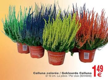 Promotions Calluna colorée gekleurde calluna - Produit maison - Cora - Valide de 23/10/2018 à 05/11/2018 chez Cora