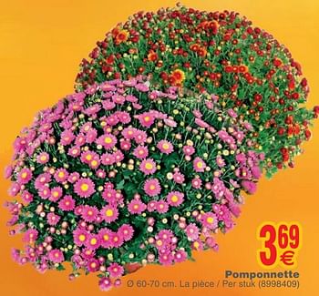 Promotions Pomponnette - Produit maison - Cora - Valide de 23/10/2018 à 05/11/2018 chez Cora