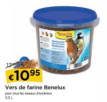 Promotions Vers de farine benelux - Benelux - Valide de 29/10/2018 à 28/11/2018 chez Molecule