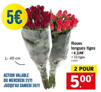 Promotions Roses longues tiges - Produit maison - Lidl - Valide de 19/11/2018 à 24/11/2018 chez Lidl