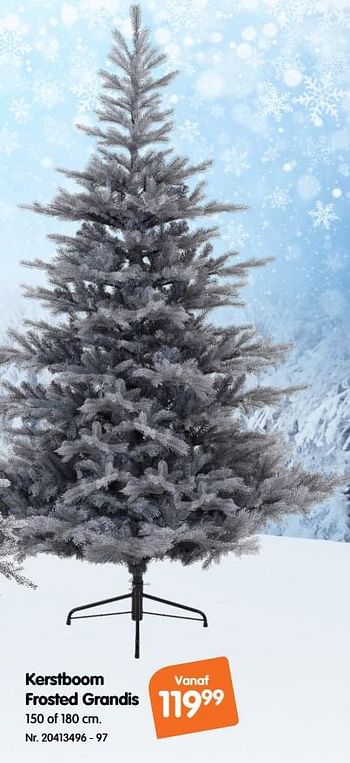 Promoties Kerstboom frosted grandis - Huismerk - Fun - Geldig van 07/11/2018 tot 27/11/2018 bij Fun