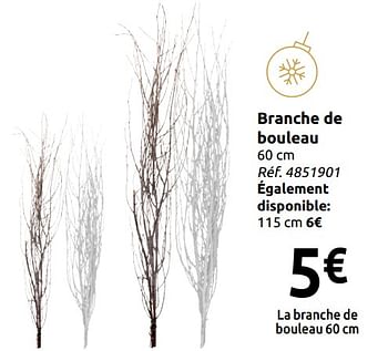 Promotions Branche de bouleau - Produit maison - Carrefour  - Valide de 24/11/2018 à 31/12/2018 chez Carrefour