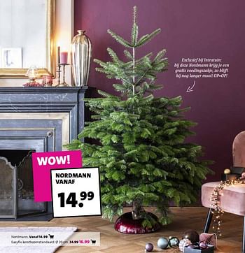 Promoties Easyfix kerstboomstandaard - Huismerk - Intratuin - Geldig van 03/12/2018 tot 09/12/2018 bij Intratuin