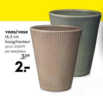 Promotions Vase - Produit maison - Blokker - Valide de 03/01/2019 à 31/01/2019 chez Blokker
