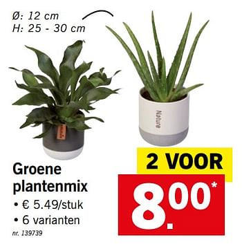 Promoties Groene plantenmix - Huismerk - Lidl - Geldig van 21/01/2019 tot 26/01/2019 bij Lidl