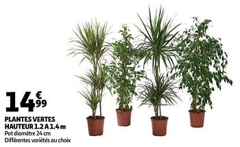 Promoties Plantes vertes hauteur 1.2 a 1.4 m - Huismerk - Auchan - Geldig van 16/01/2019 tot 22/01/2019 bij Auchan