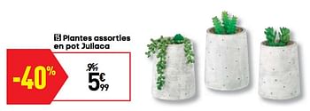 Promotions Plantes assorties en pot juliaca - Produit Maison - Conforama - Valide de 15/01/2019 à 11/02/2019 chez Conforama