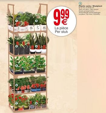 Promotions Plante verte - bladplant - Produit maison - Cora - Valide de 22/01/2019 à 04/02/2019 chez Cora