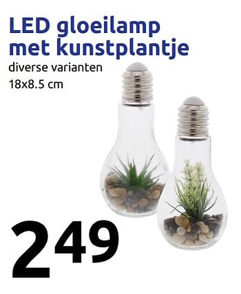 Promoties Led gloeilamp met kunstplantje - Huismerk - Action - Geldig van 30/01/2019 tot 05/02/2019 bij Action