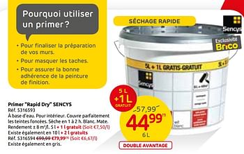 Promotions Primer rapid dry sencys - Sencys - Valide de 06/02/2019 à 25/02/2019 chez Brico