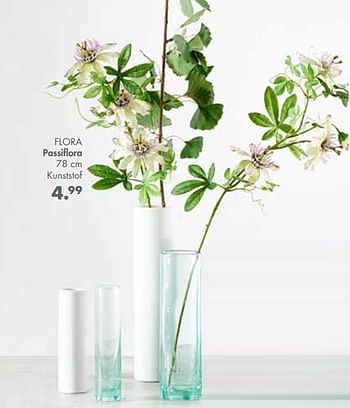 Promoties Flora passiflora - Huismerk - Casa - Geldig van 28/01/2019 tot 24/02/2019 bij Casa