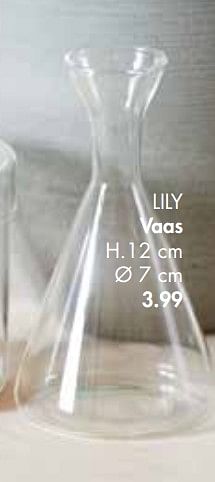 Promotions Lily vaas - Produit maison - Casa - Valide de 28/01/2019 à 24/02/2019 chez Casa