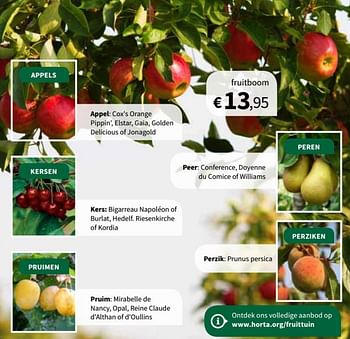 Promoties Fruitboom - Huismerk - Horta - Geldig van 30/01/2019 tot 10/02/2019 bij Horta