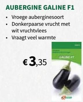 Promoties Aubergine galine f1 - Huismerk - Horta - Geldig van 30/01/2019 tot 10/02/2019 bij Horta