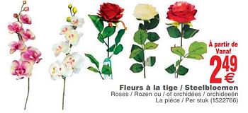 Promotions Fleurs à la tige - steelbloemen - Produit maison - Cora - Valide de 12/02/2019 à 25/02/2019 chez Cora