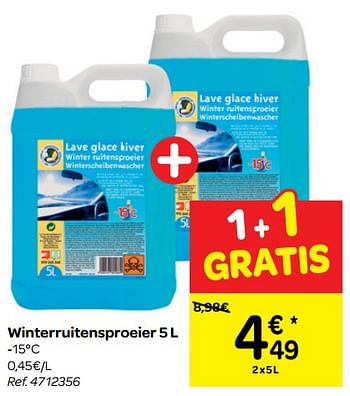 Promoties Winterruitensproeier - Huismerk - Carrefour  - Geldig van 20/02/2019 tot 04/03/2019 bij Carrefour