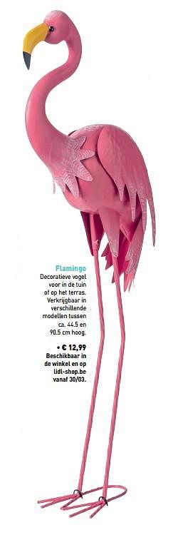 Promoties Flamingo - Huismerk - Lidl - Geldig van 24/02/2019 tot 08/04/2019 bij Lidl