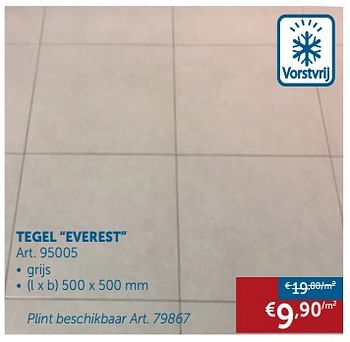 Promoties Tegel everest - Huismerk - Zelfbouwmarkt - Geldig van 05/03/2019 tot 01/04/2019 bij Zelfbouwmarkt