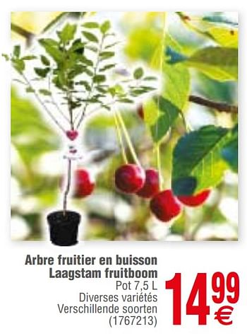 Promoties Arbre fruitier en buisson laagstam fruitboom - Huismerk - Cora - Geldig van 12/03/2019 tot 25/03/2019 bij Cora