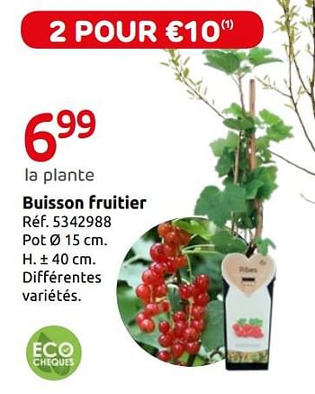 Promotions Buisson fruitier - Central Park - Valide de 12/03/2019 à 01/04/2019 chez Brico
