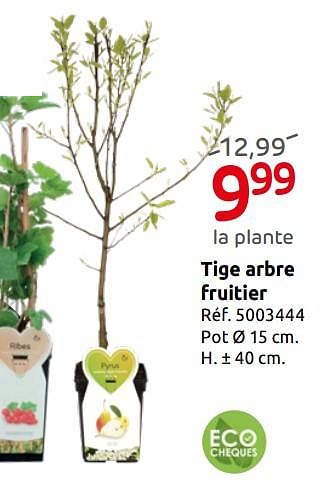 Promoties Tige arbre fruitier - Huismerk - Brico - Geldig van 12/03/2019 tot 01/04/2019 bij Brico