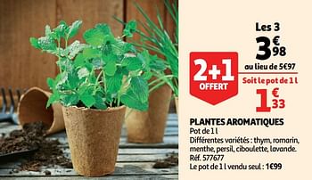 Promoties Plantes aromatiques - Huismerk - Auchan - Geldig van 13/03/2019 tot 19/03/2019 bij Auchan