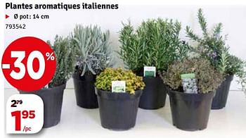 Promotions Plantes aromatiques italiennes - Produit maison - Mr. Bricolage - Valide de 11/03/2019 à 24/03/2019 chez Mr. Bricolage