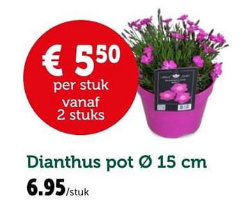 Promoties Dianthus - Huismerk - Aveve - Geldig van 27/03/2019 tot 06/04/2019 bij Aveve